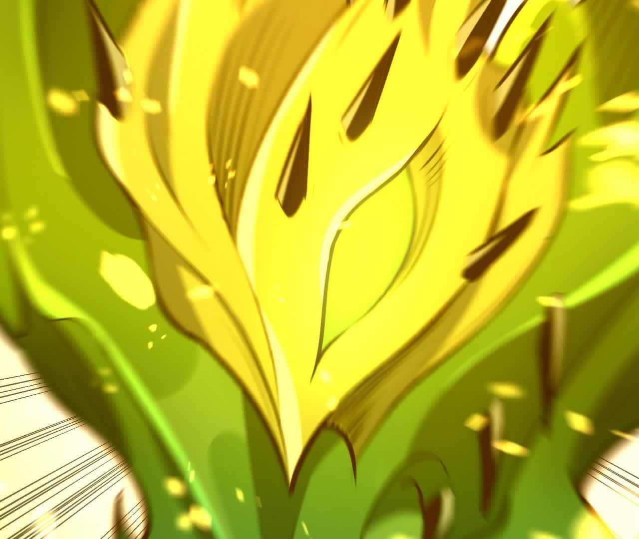 203