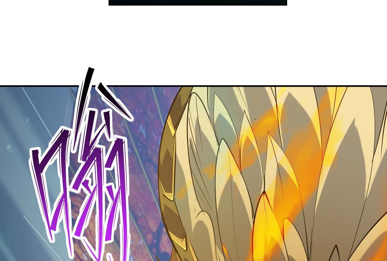 81