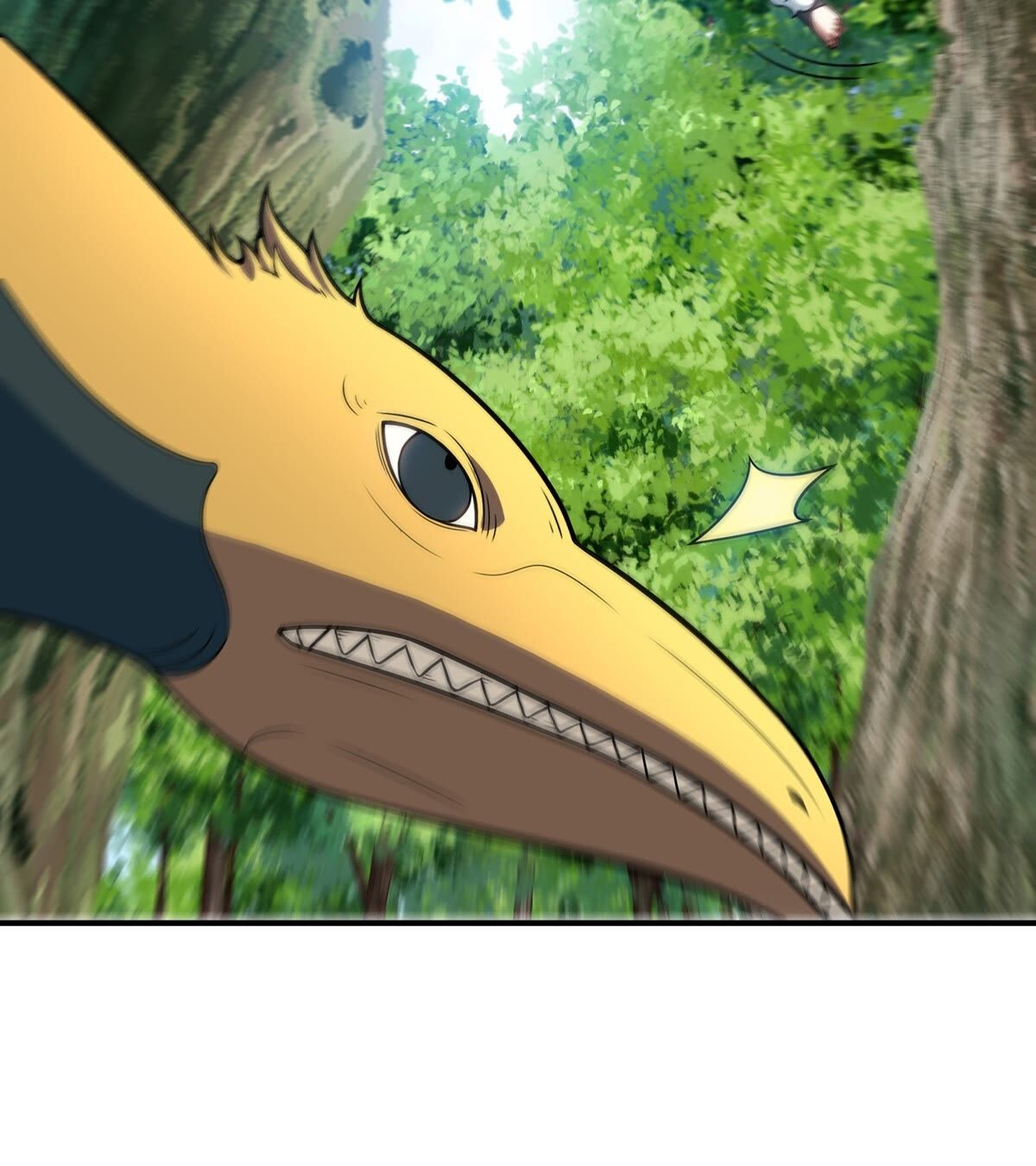 43