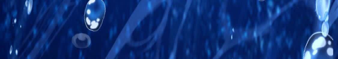 164