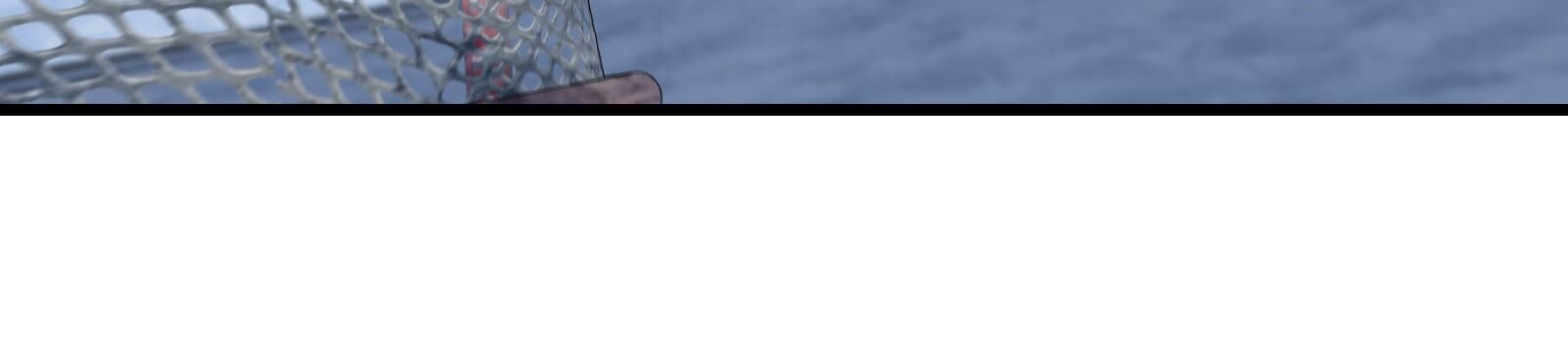 81