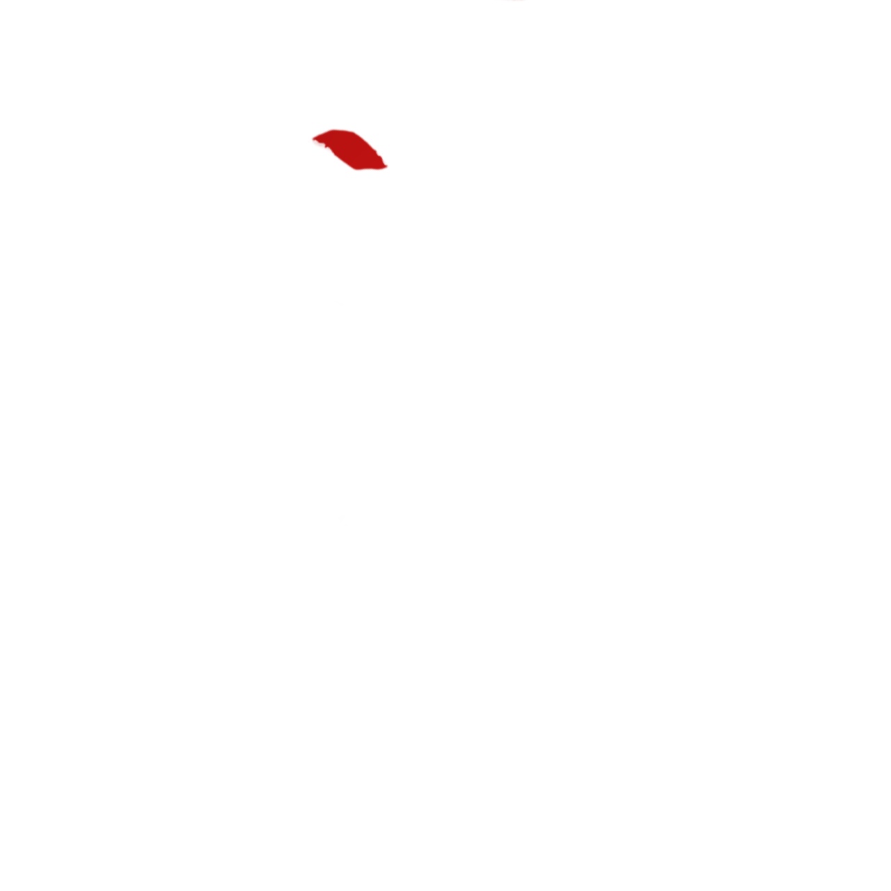 62.jpg