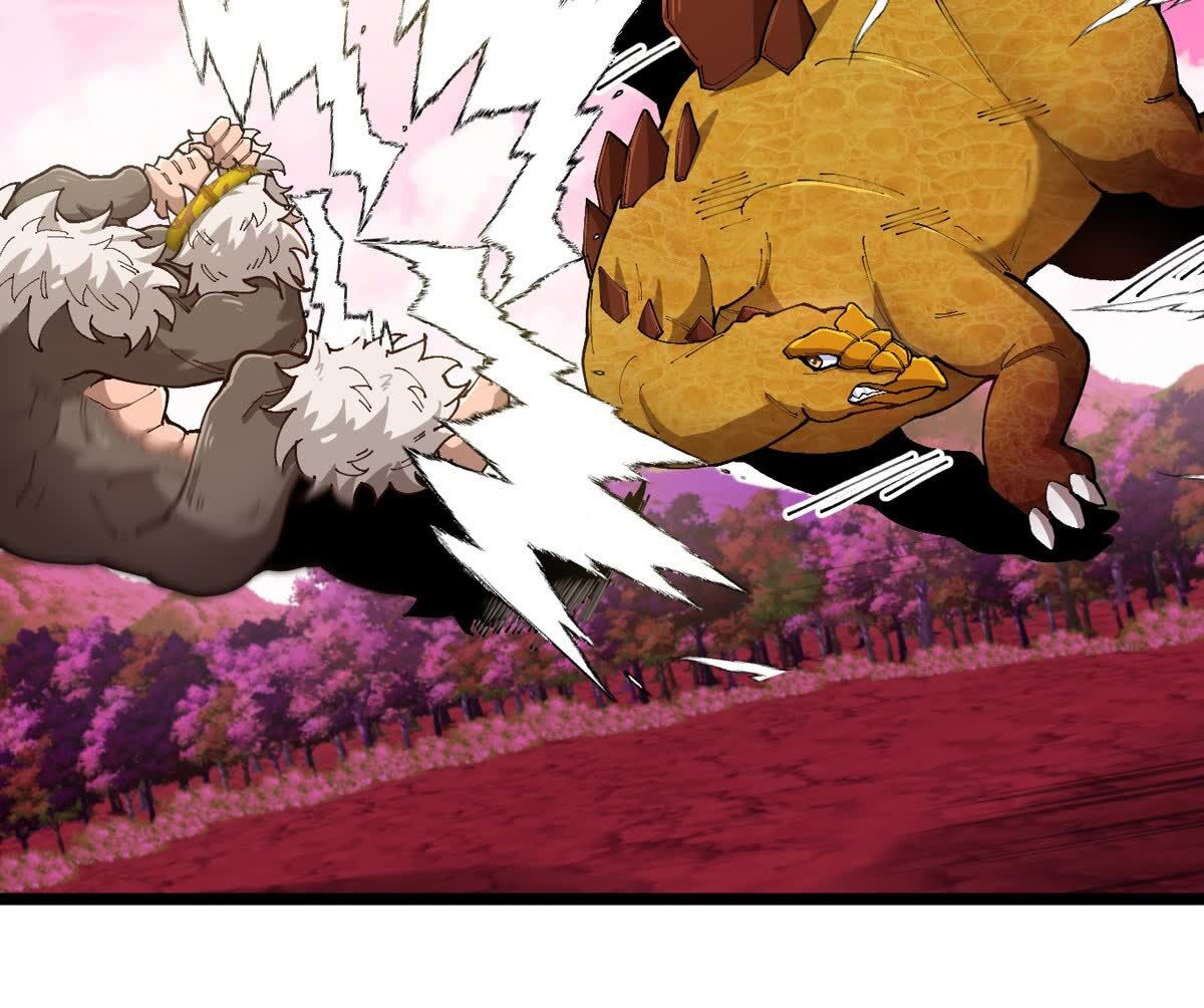 43