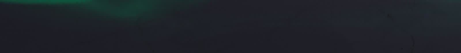 81