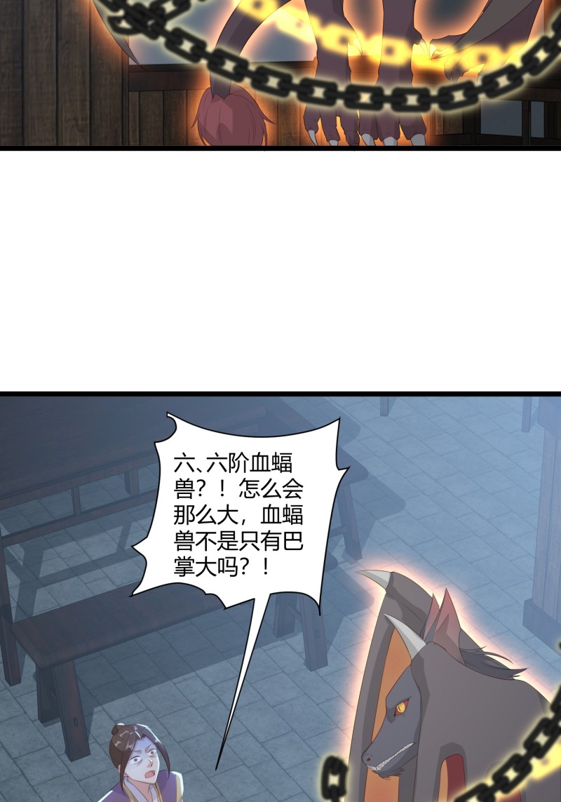 33.jpg