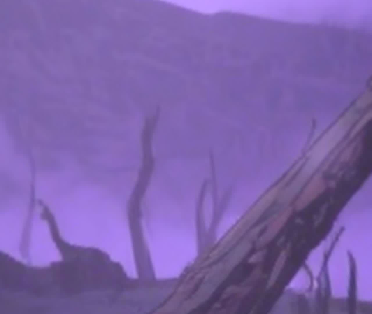 69