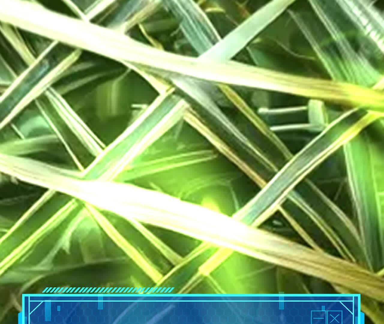 85