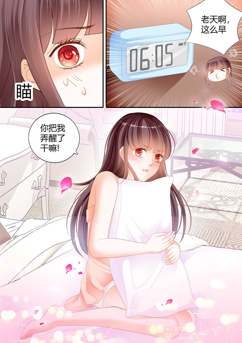 闪婚娇妻