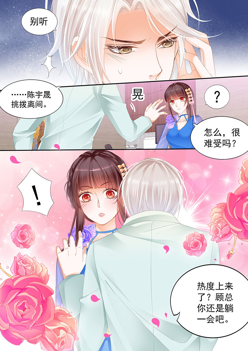 闪婚娇妻
