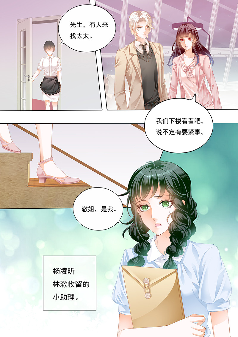 闪婚娇妻