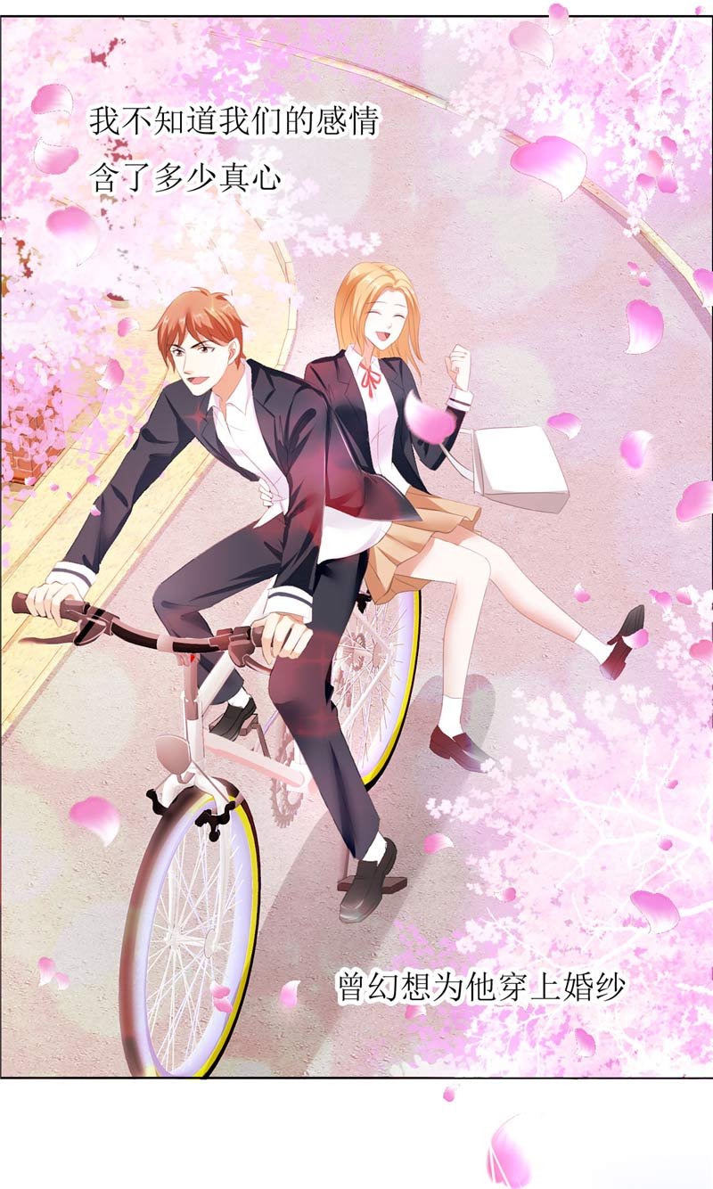 霸道总裁的独宠爱人