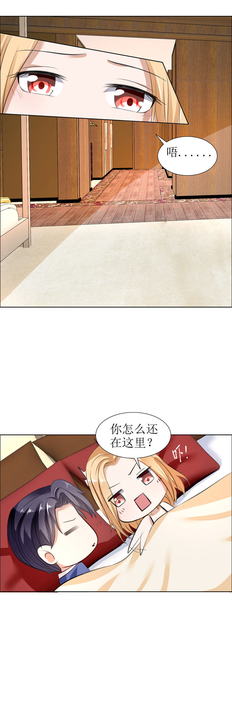 霸道总裁的独宠爱人