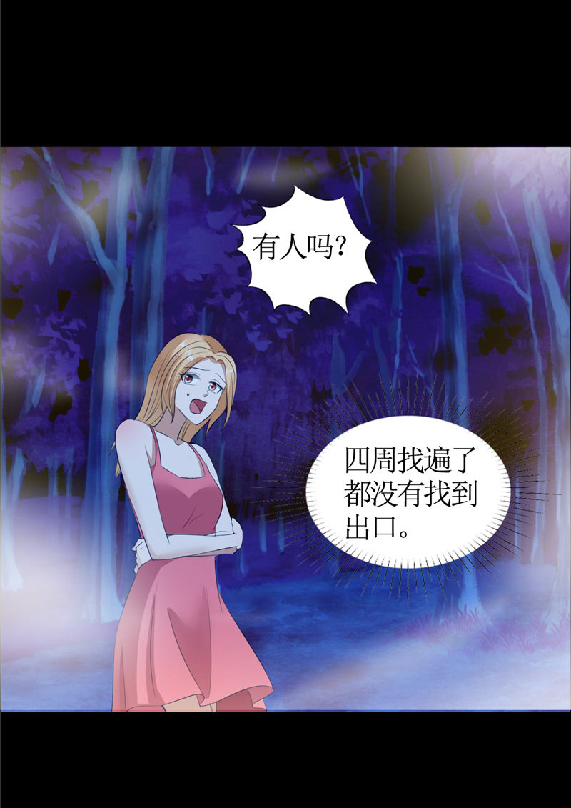 霸道总裁的独宠爱人