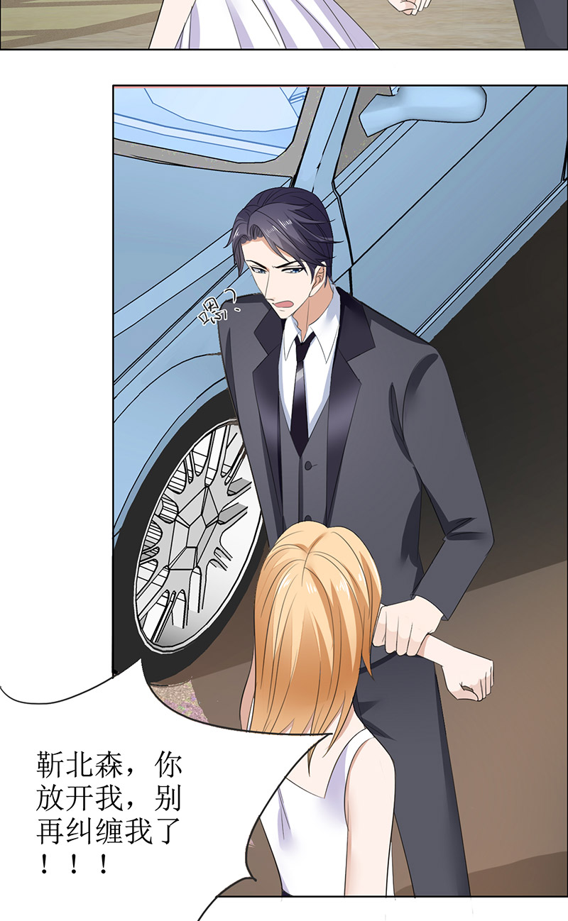 霸道总裁的独宠爱人