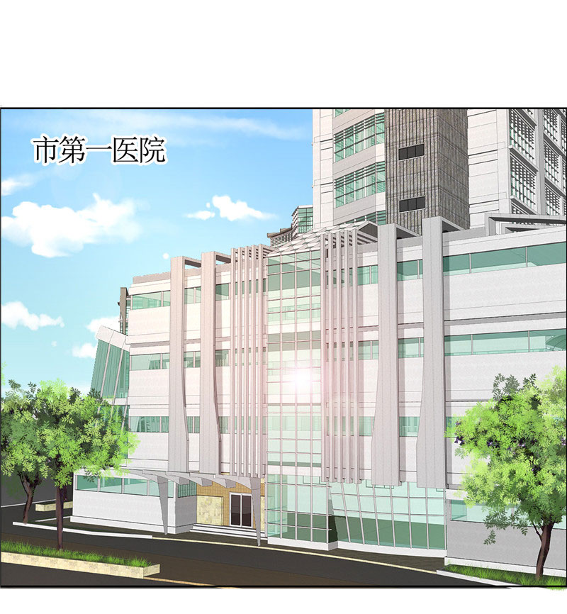 霸道总裁的独宠爱人