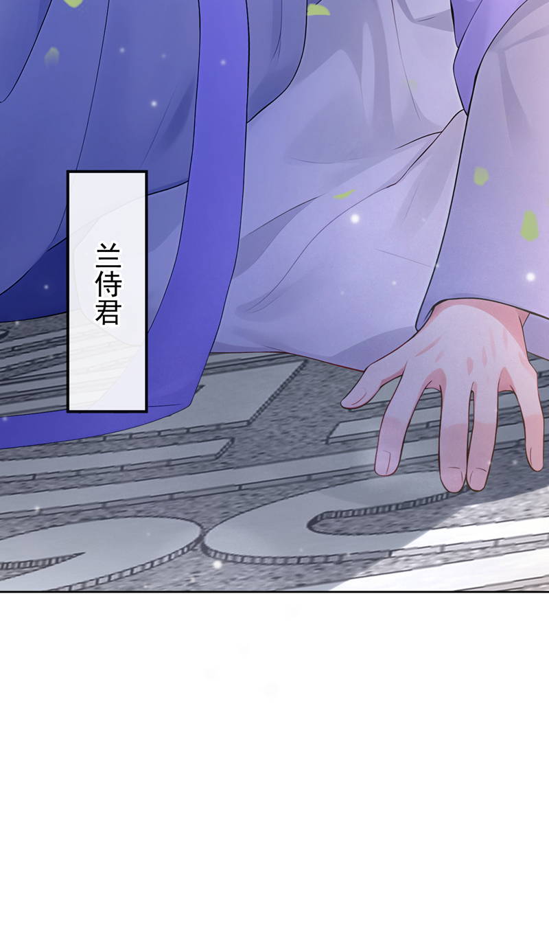 快穿系统：反派大佬不好惹