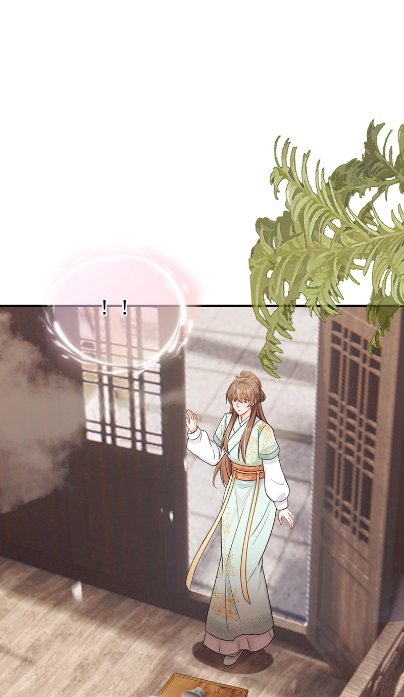 我带超市穿到古代养丞相 第31页