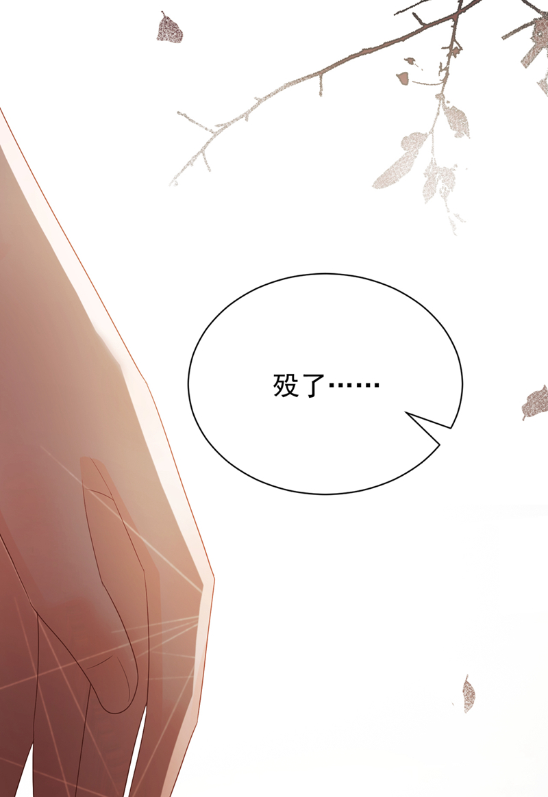 我带超市穿到古代养丞相 第13页