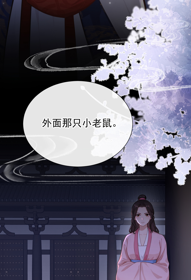 快穿系统：反派大佬不好惹 - 第291话 紫饶国来访 - 第5页