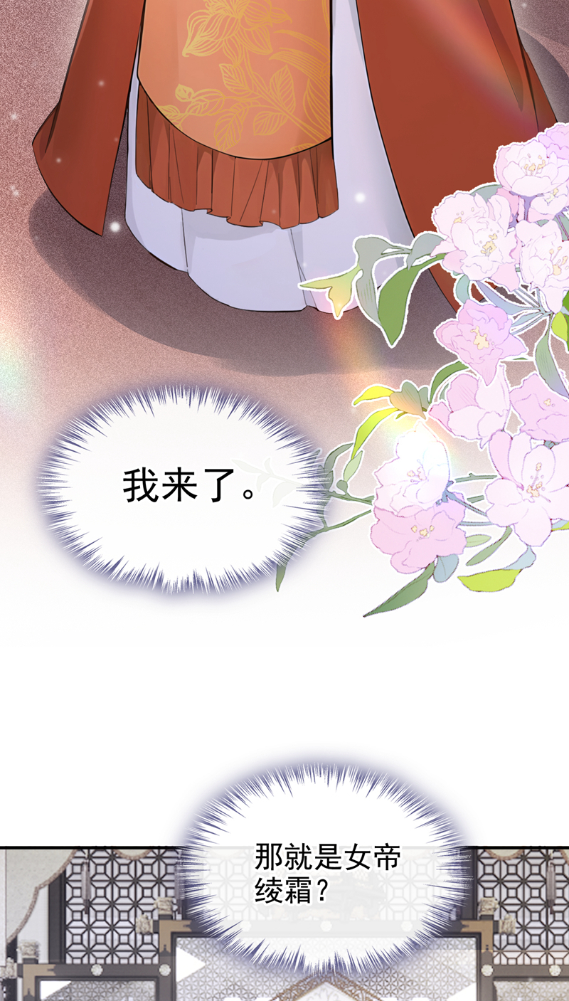 快穿系统：反派大佬不好惹 - 第291话 紫饶国来访 - 第23页