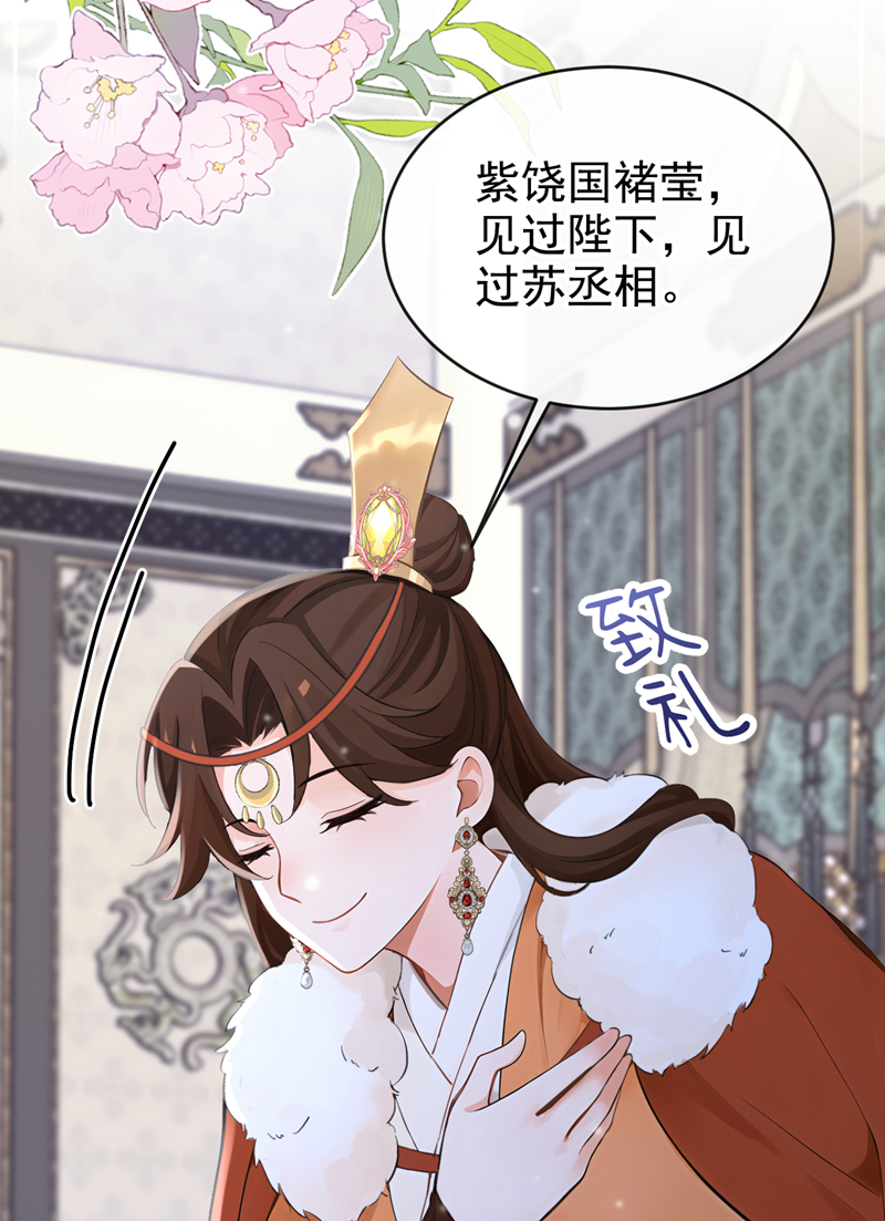 快穿系统：反派大佬不好惹 - 第291话 紫饶国来访 - 第29页