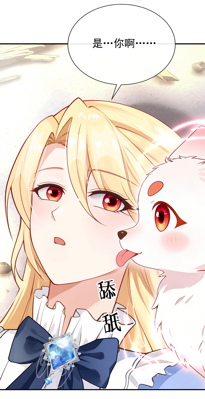 让出天赋后，我成了魔法界团宠 - 第59话 故事里的英雄 - 第4张图