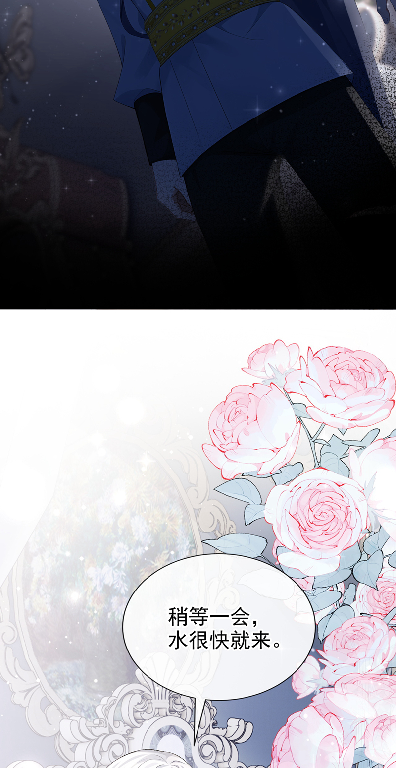 让出天赋后，我成了魔法界团宠 - 第59话 故事里的英雄 - 第23张图