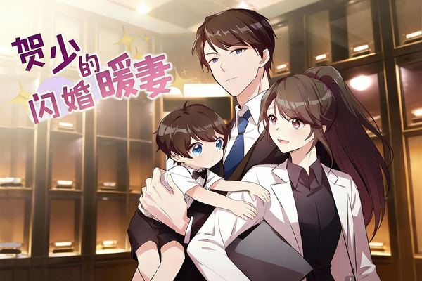贺少的闪婚暖妻