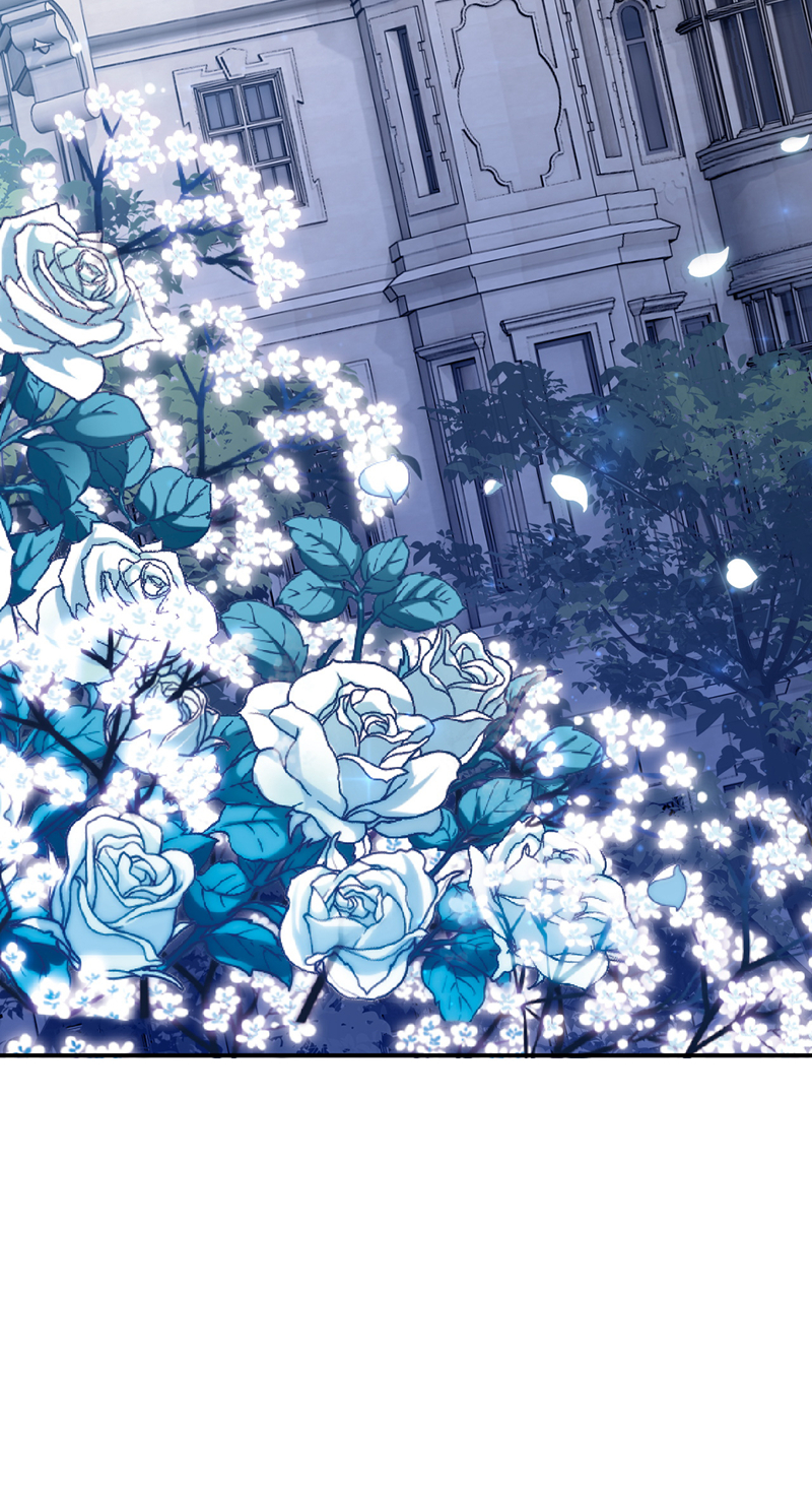 让出天赋后，我成了魔法界团宠 - 第61话 生死契约 - 第3张图