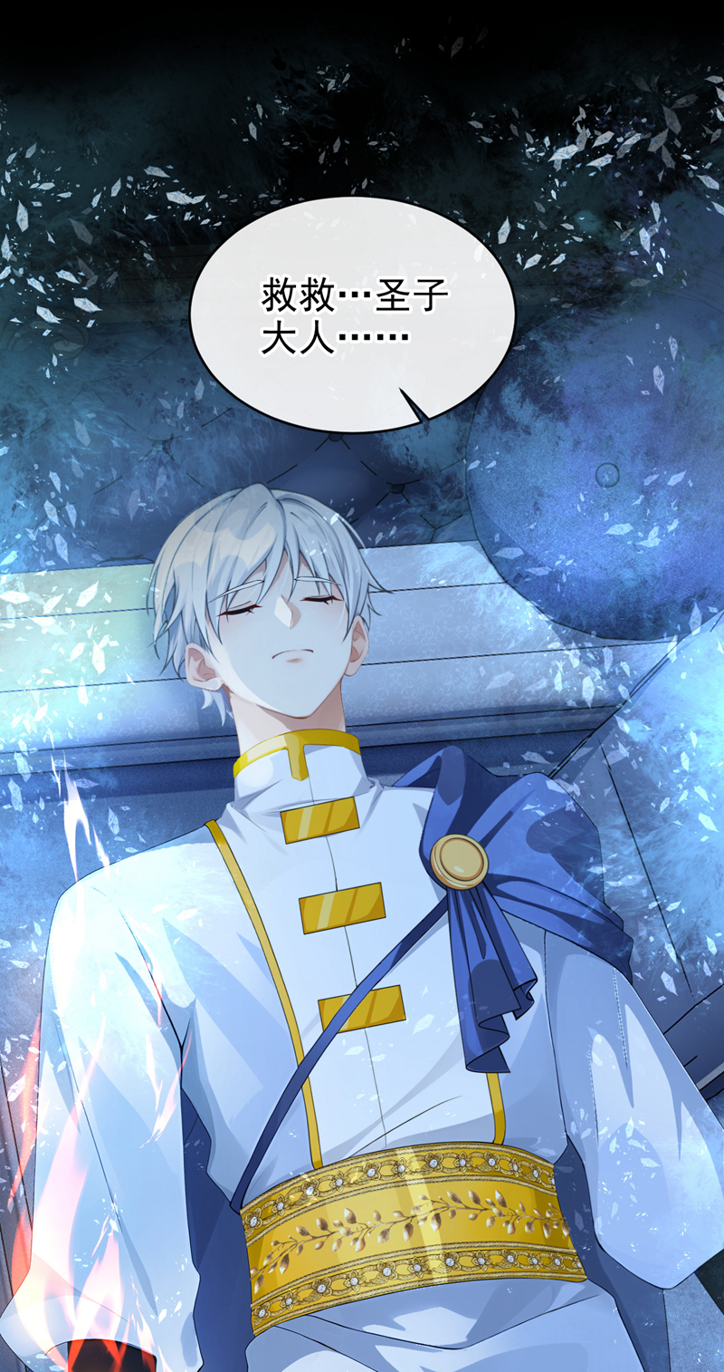 让出天赋后，我成了魔法界团宠 - 第61话 生死契约 - 第45张图