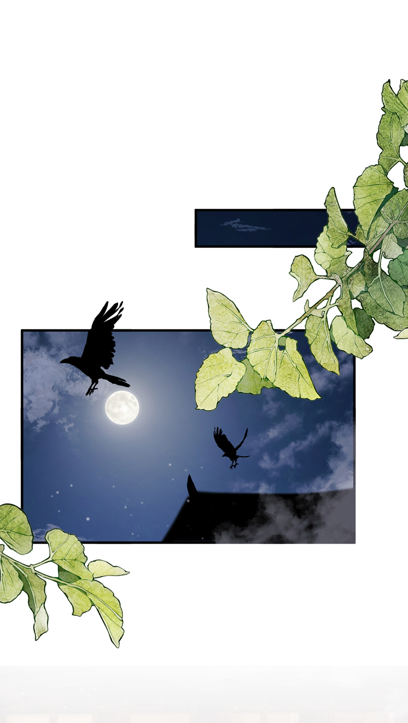 我带超市穿到古代养丞相 第2页