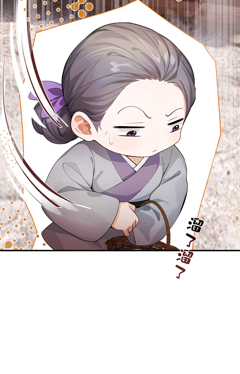 我带超市穿到古代养丞相 第5页