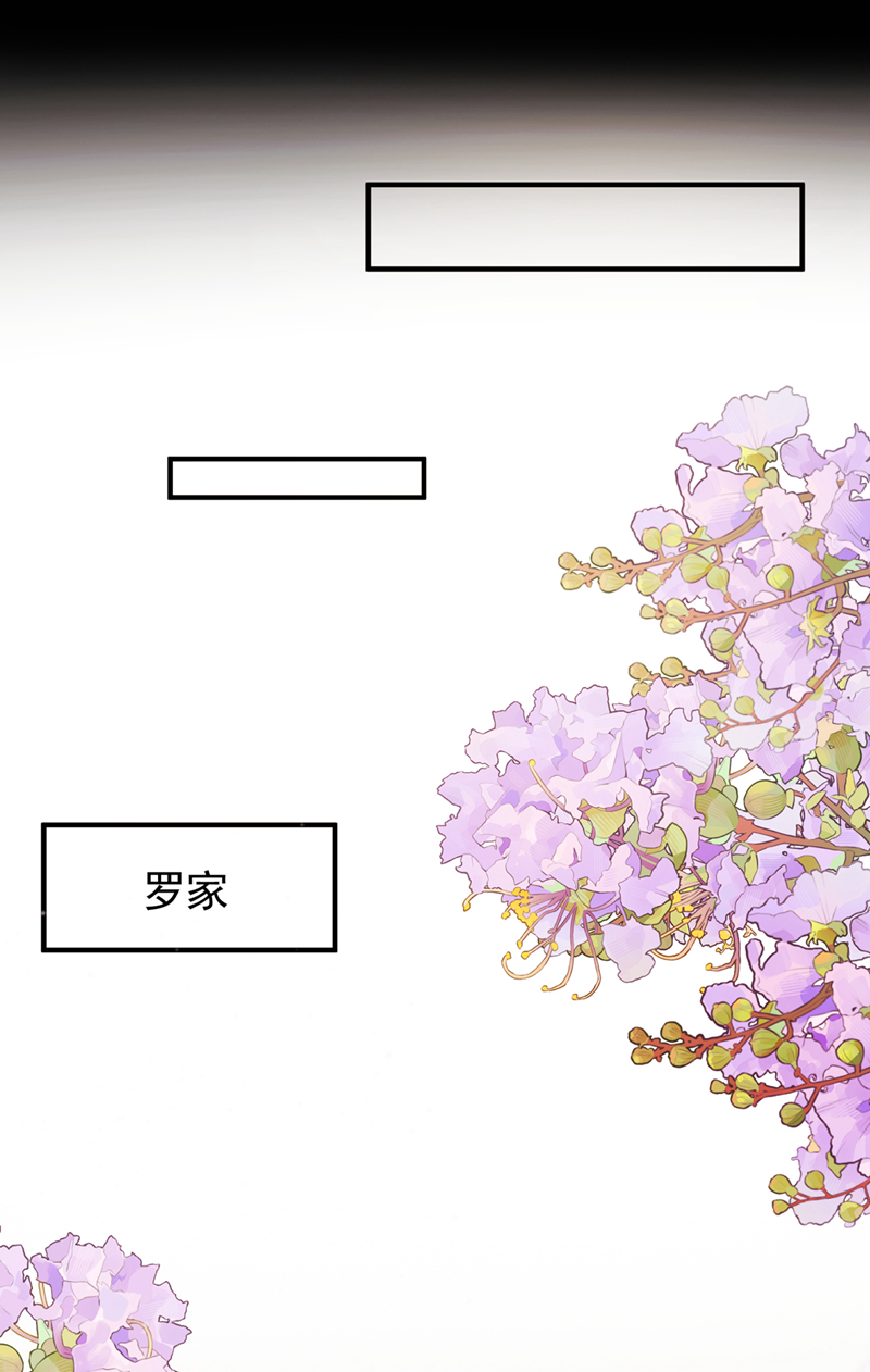 我带超市穿到古代养丞相 第31页