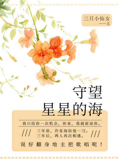守望星星的海