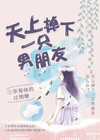 天上掉下一只男朋友