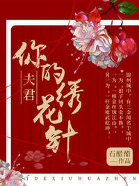 夫君！你的绣花针