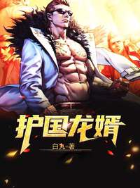 护国龙婿